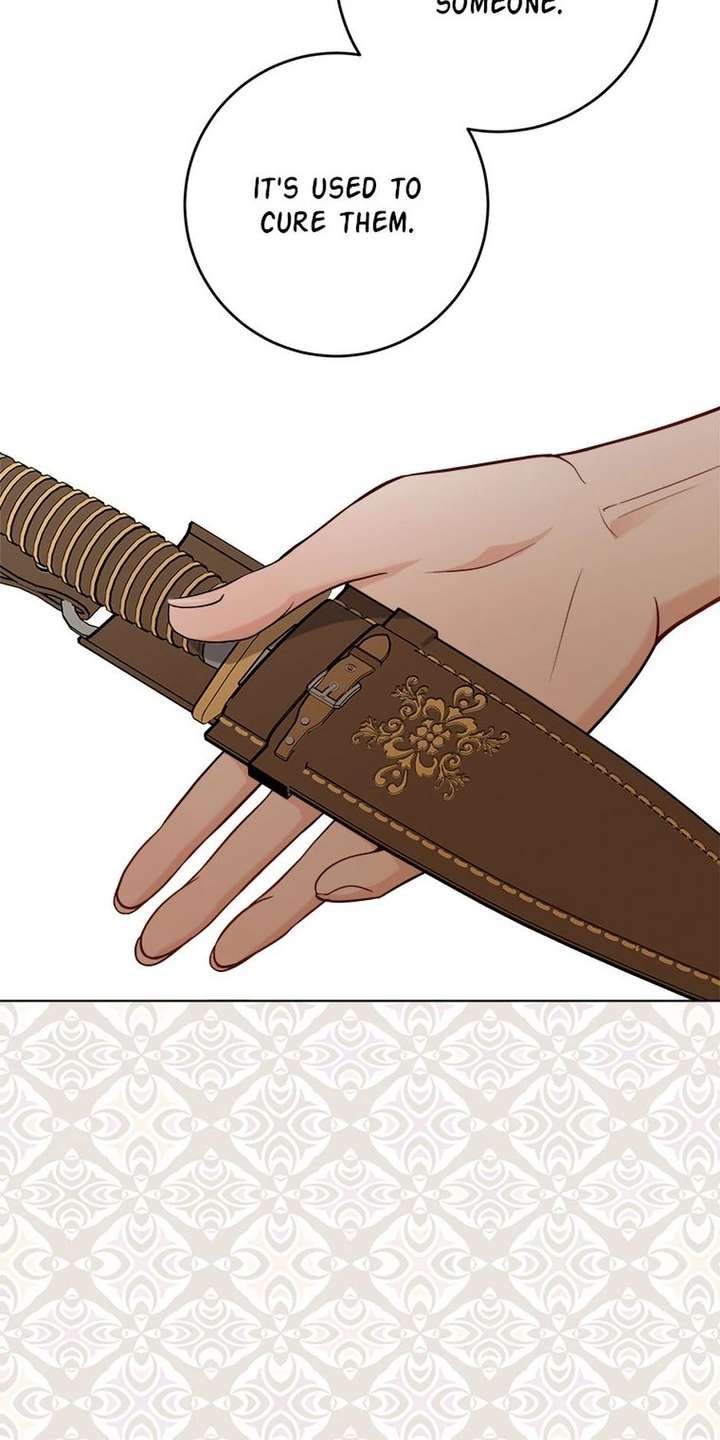 The Male Lead Is In Charge Of The Successor Chapter 106 254 034