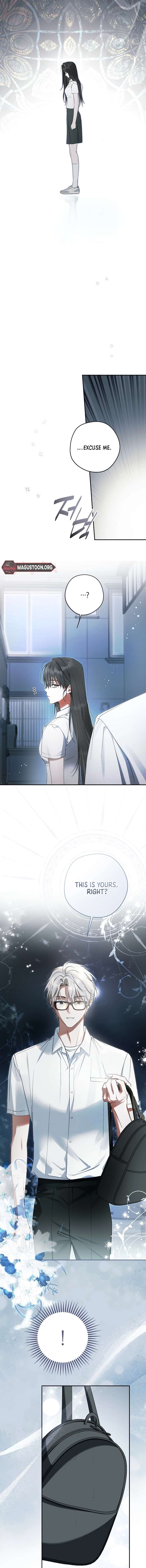 The Male Leads Were Stolen by the Extra Chapter 71 81 14