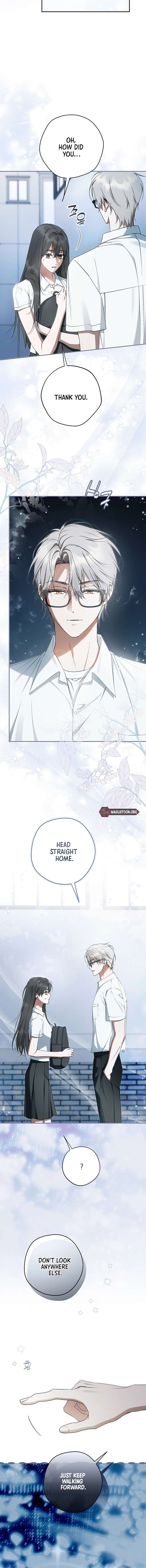 The Male Leads Were Stolen by the Extra Chapter 71 82 15