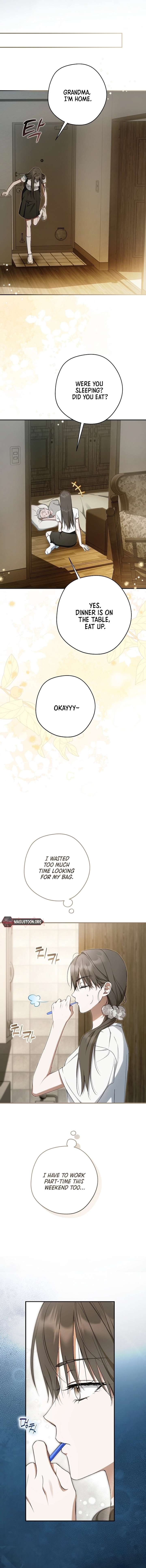 The Male Leads Were Stolen by the Extra Chapter 71 84 17