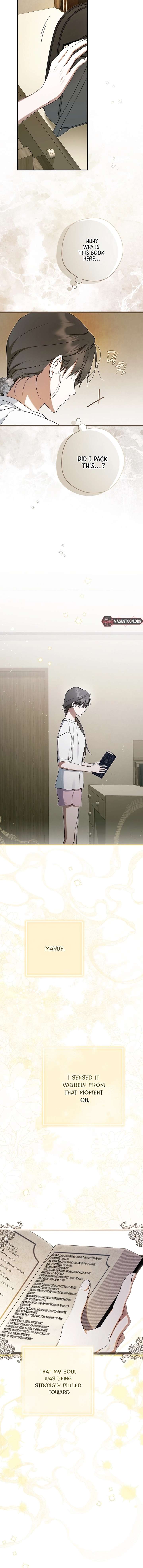 The Male Leads Were Stolen by the Extra Chapter 71 86 19