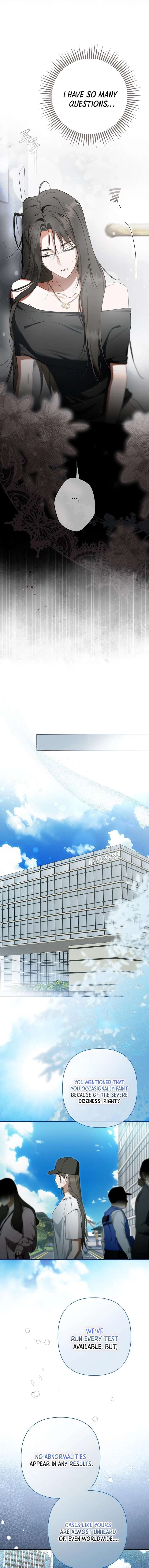 The Male Leads Were Stolen by the Extra Chapter 72 83 13