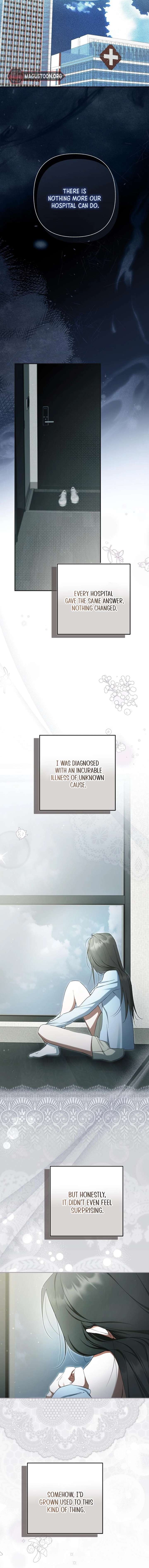 The Male Leads Were Stolen by the Extra Chapter 72 84 14