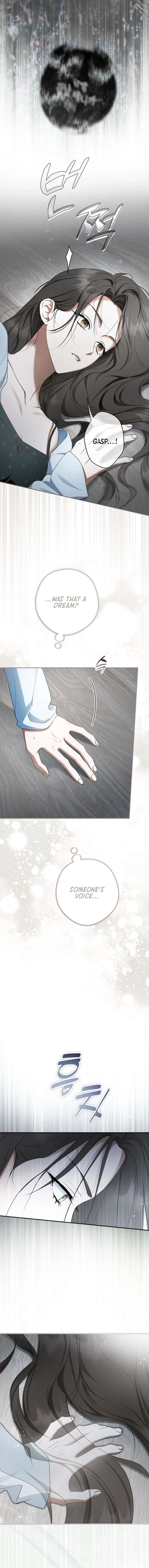 The Male Leads Were Stolen by the Extra Chapter 72 86 16