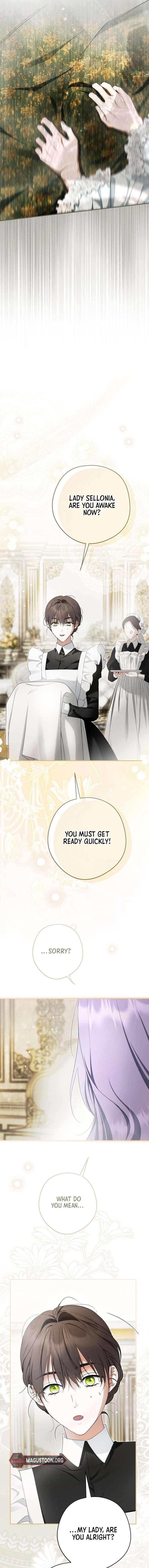 The Male Leads Were Stolen by the Extra Chapter 72 89 19