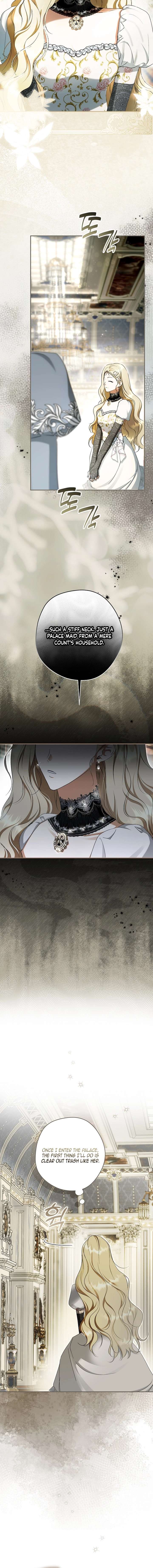 The Male Leads Were Stolen by the Extra Chapter 74 66 02