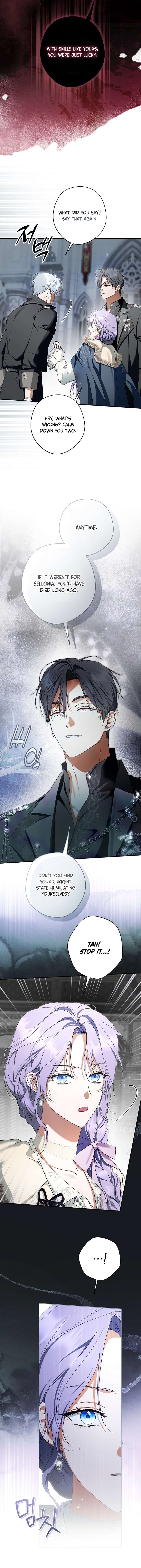 The Male Leads Were Stolen by the Extra Chapter 74 81 17