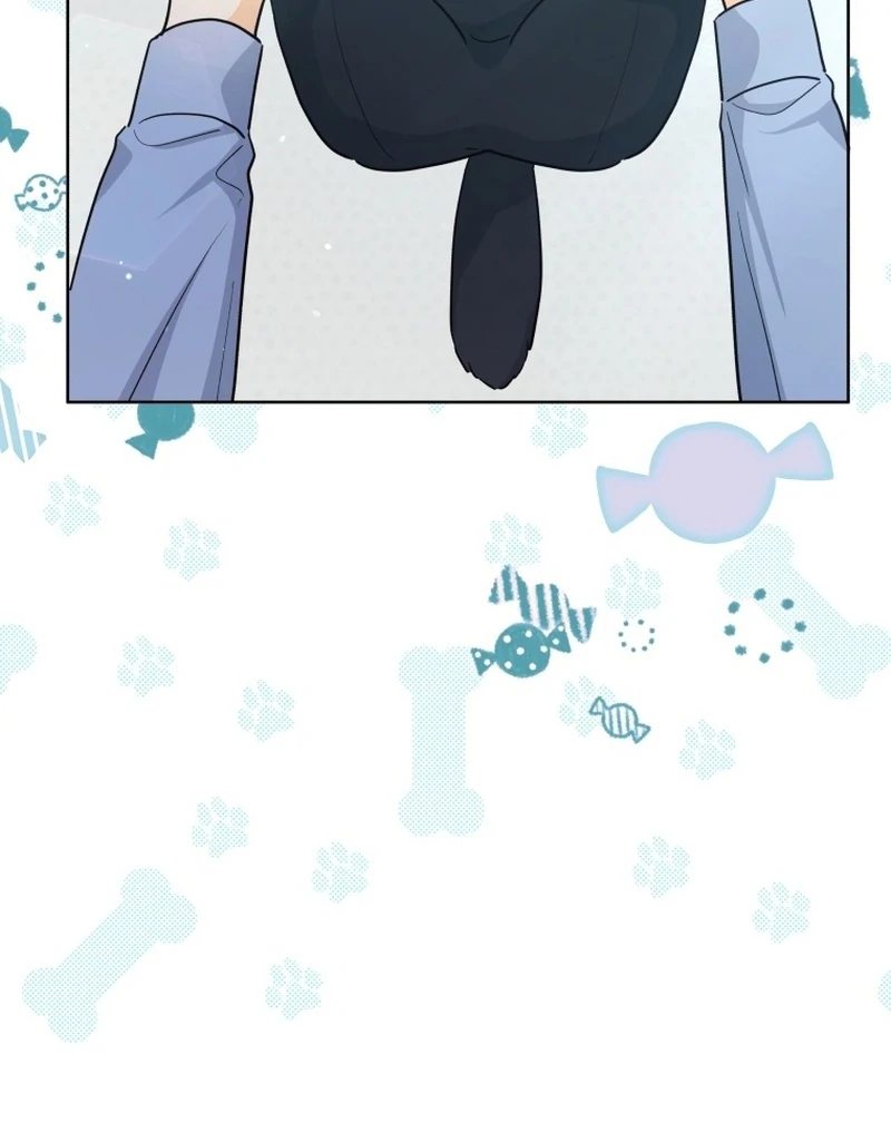 The man who fell in love with me Chapter 22 439 ch 22 72