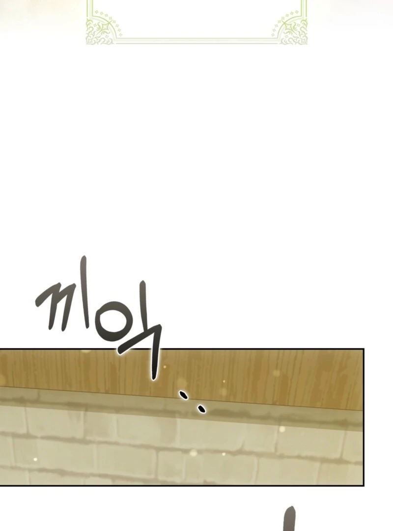 The Maniacs are Obsessed With the Fake Chapter 27 525 038