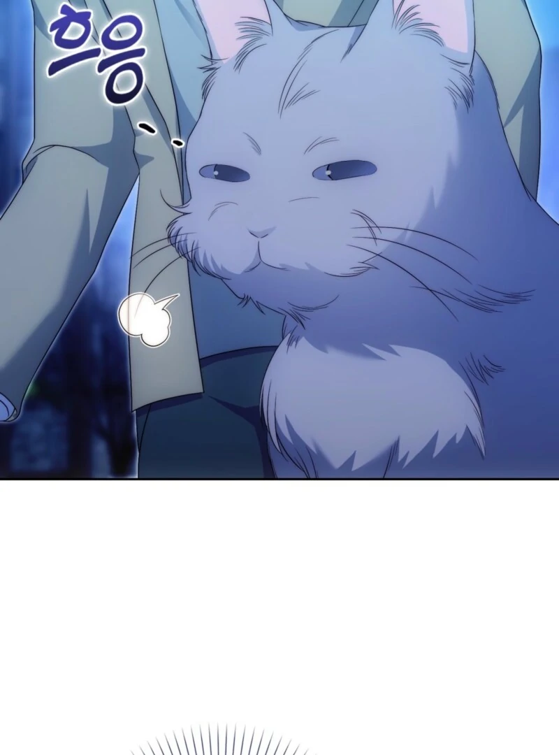 The Maniacs are Obsessed With the Fake Chapter 28 690 161