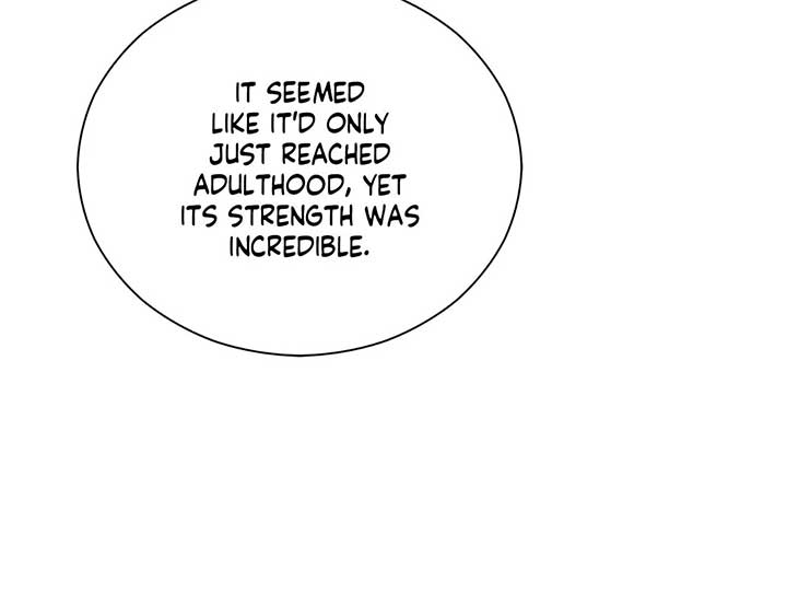 The Marquis and the Iron Wall Lady Chapter 24 729 ch 24 140