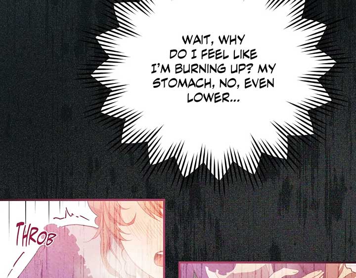 The Marquis and the Iron Wall Lady Chapter 3 704 133