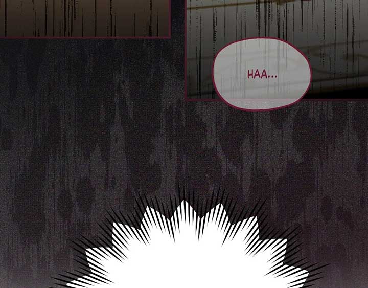 The Marquis and the Iron Wall Lady Chapter 3 706 135