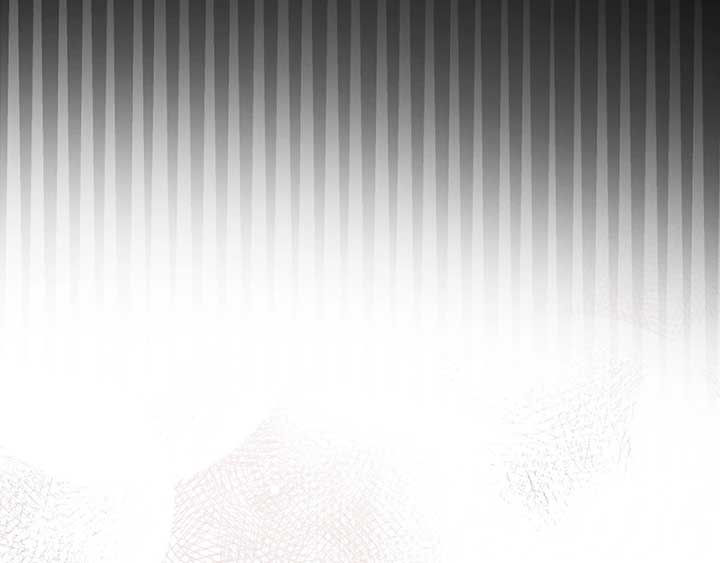 The Marquis and the Iron Wall Lady Chapter 3 717 146