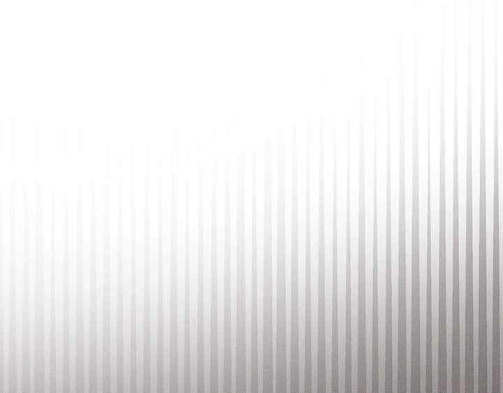 The Marquis and the Iron Wall Lady Chapter 3 728 157