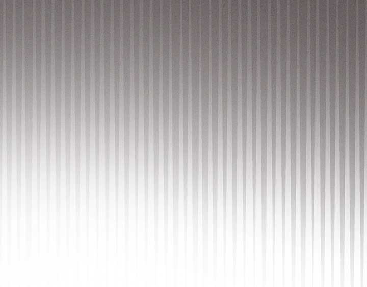 The Marquis and the Iron Wall Lady Chapter 3 737 166