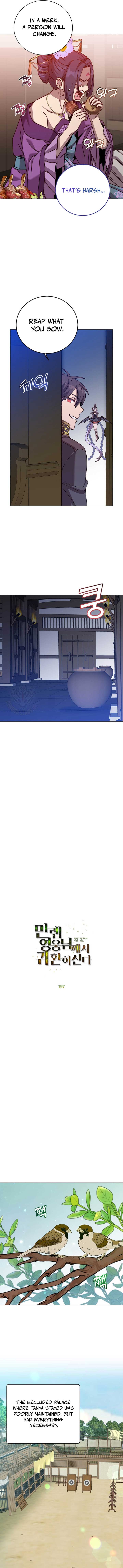 The Max Level Hero has Returned! Chapter 197 46 2