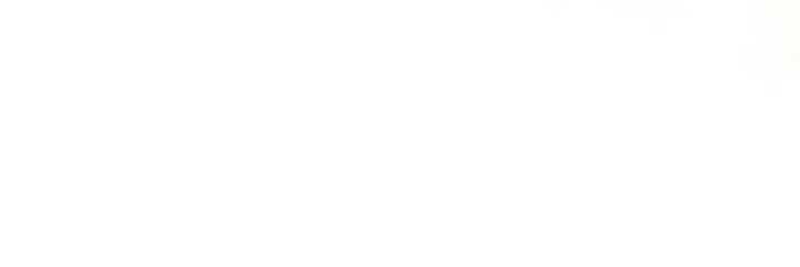 The Murdered Princess and the Innocent Traitor Chapter 60 267 ch 60 5