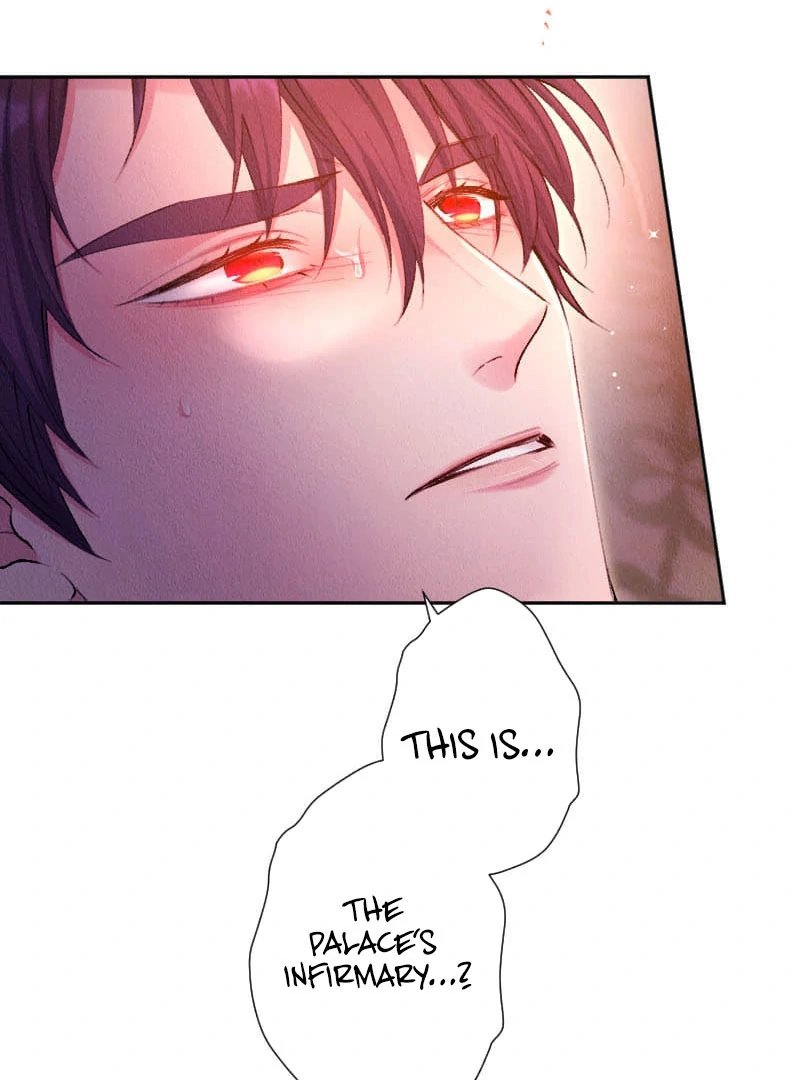 The Neglected Noble Lady Became the Beloved Caretaker of the Imperial Family Chapter 16 302 10