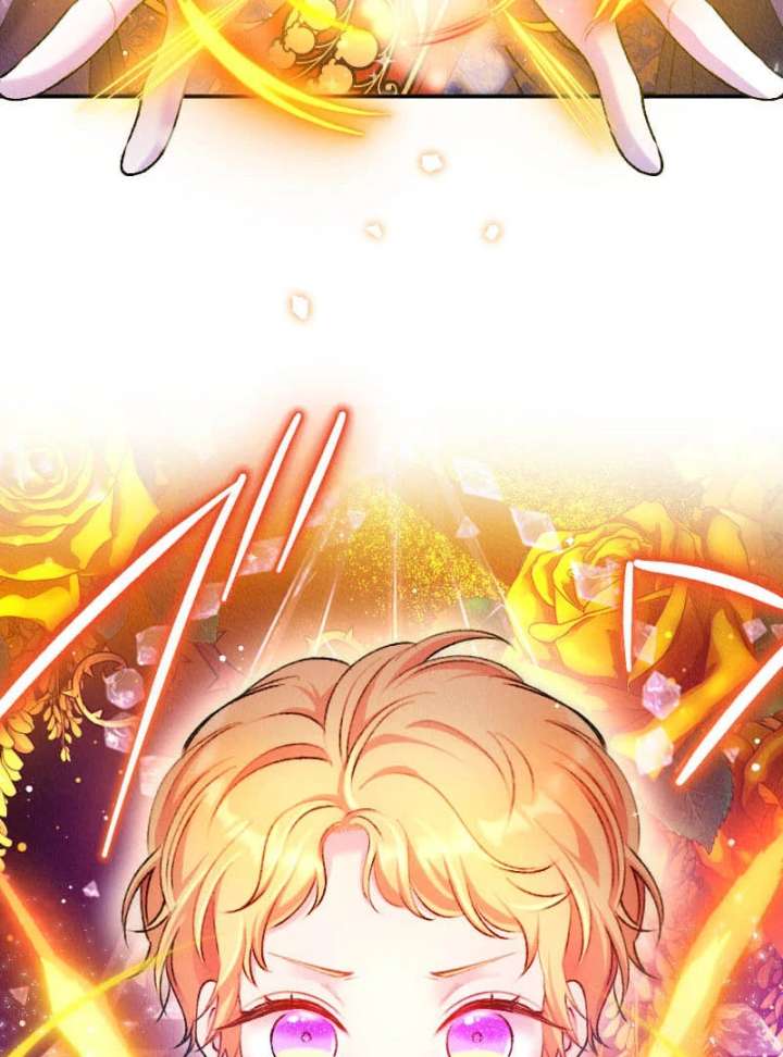 The Neglected Noble Lady Became the Beloved Caretaker of the Imperial Family Chapter 20 459 044