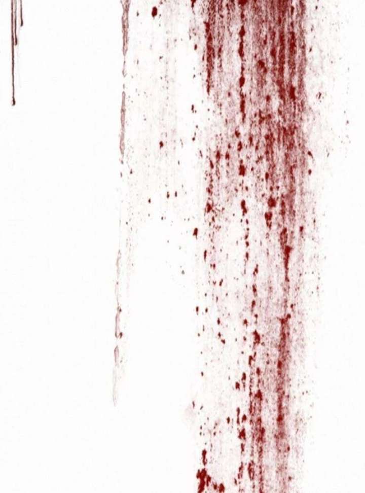 The Poisoned Goblet: The Princess Filled With Poison Chapter 12 443 079