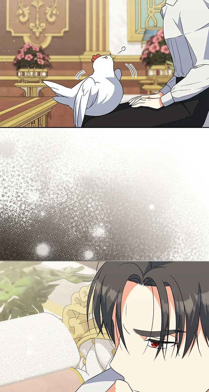 The Princess in The Henhouse Chapter 31 368 034