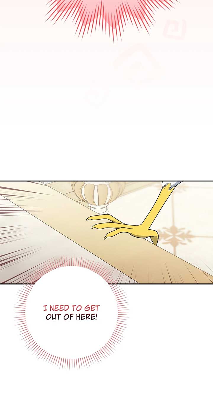 The Princess in The Henhouse Chapter 31 395 061