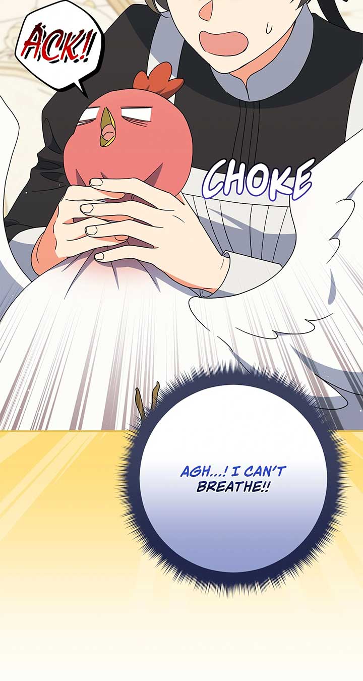 The Princess in The Henhouse Chapter 31 400 066