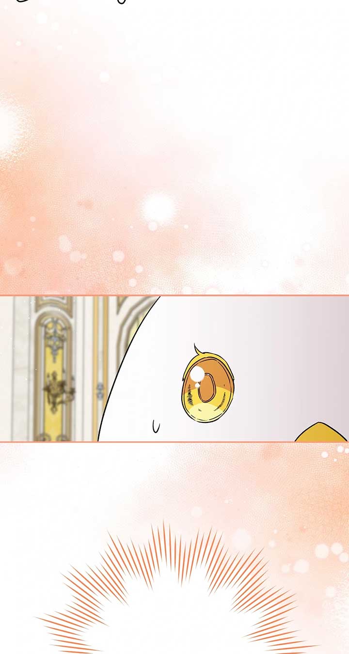 The Princess in The Henhouse Chapter 31 404 070