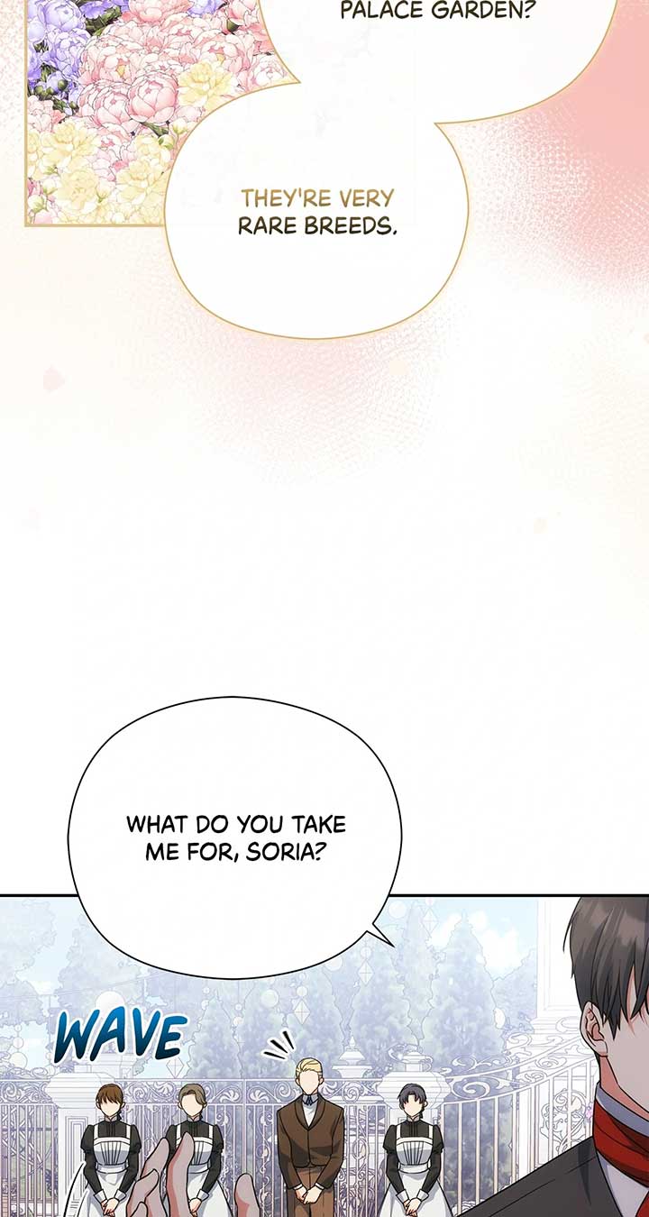 The Princess in The Henhouse Chapter 44 285 47