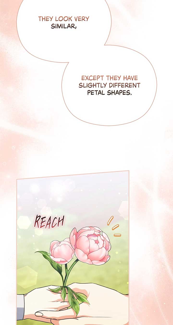 The Princess in The Henhouse Chapter 44 297 59