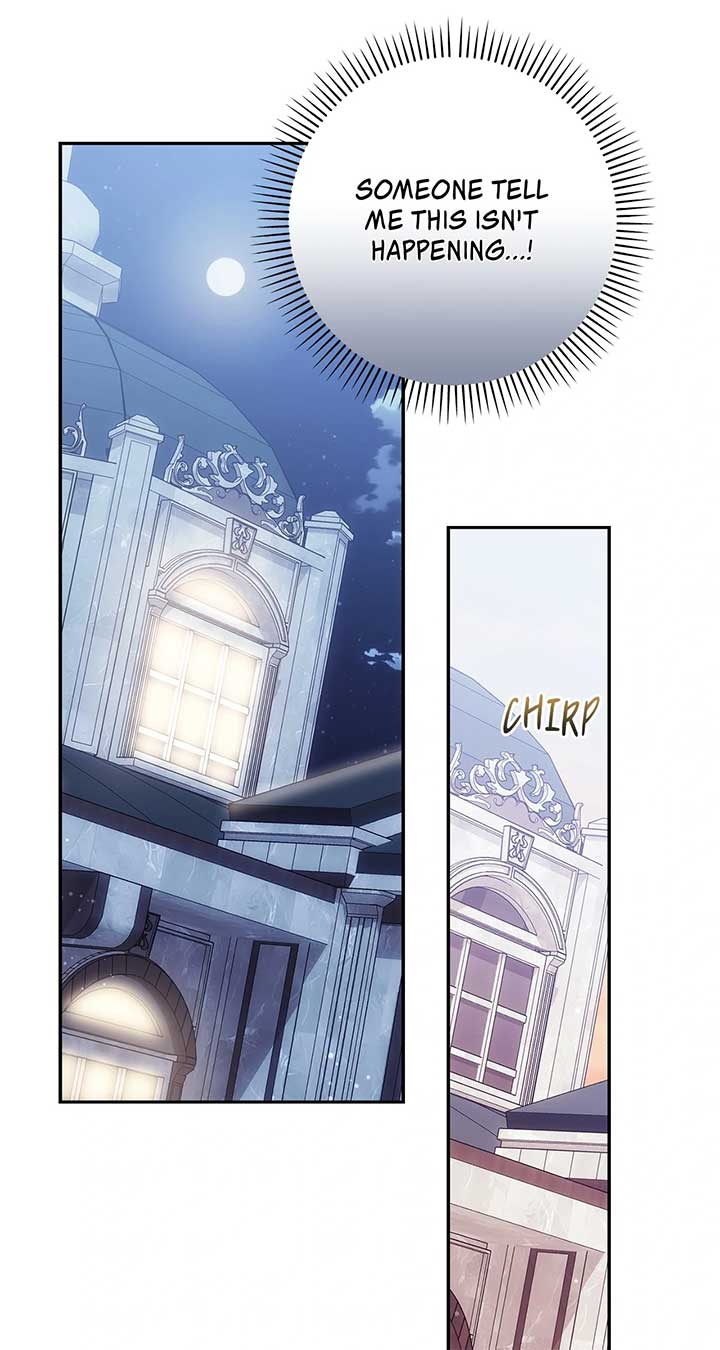 The Princess in The Henhouse Chapter 48 287 46