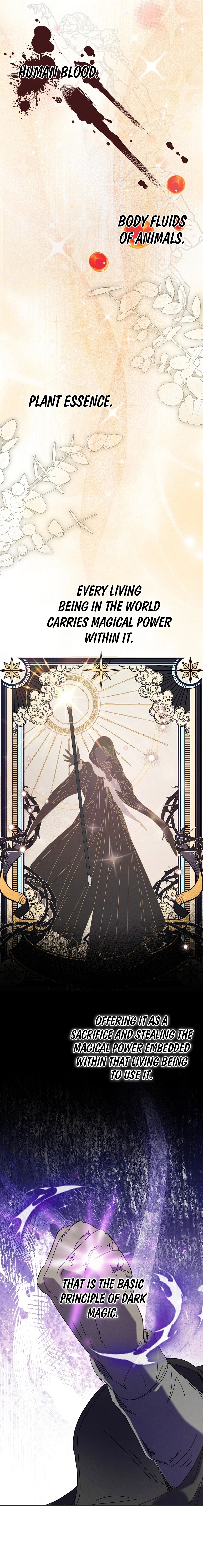 The Princess Reincarnation Chapter 24 46 5