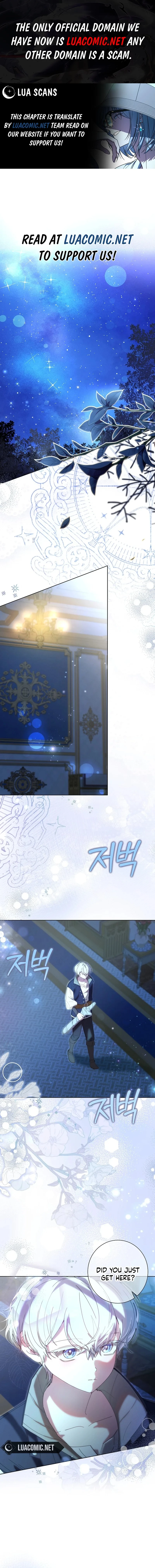 The Princess Reincarnation Chapter 26 50 0