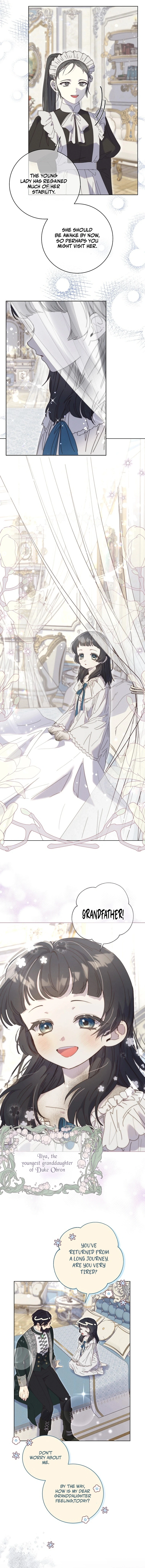 The Princess Reincarnation Chapter 27 57 1