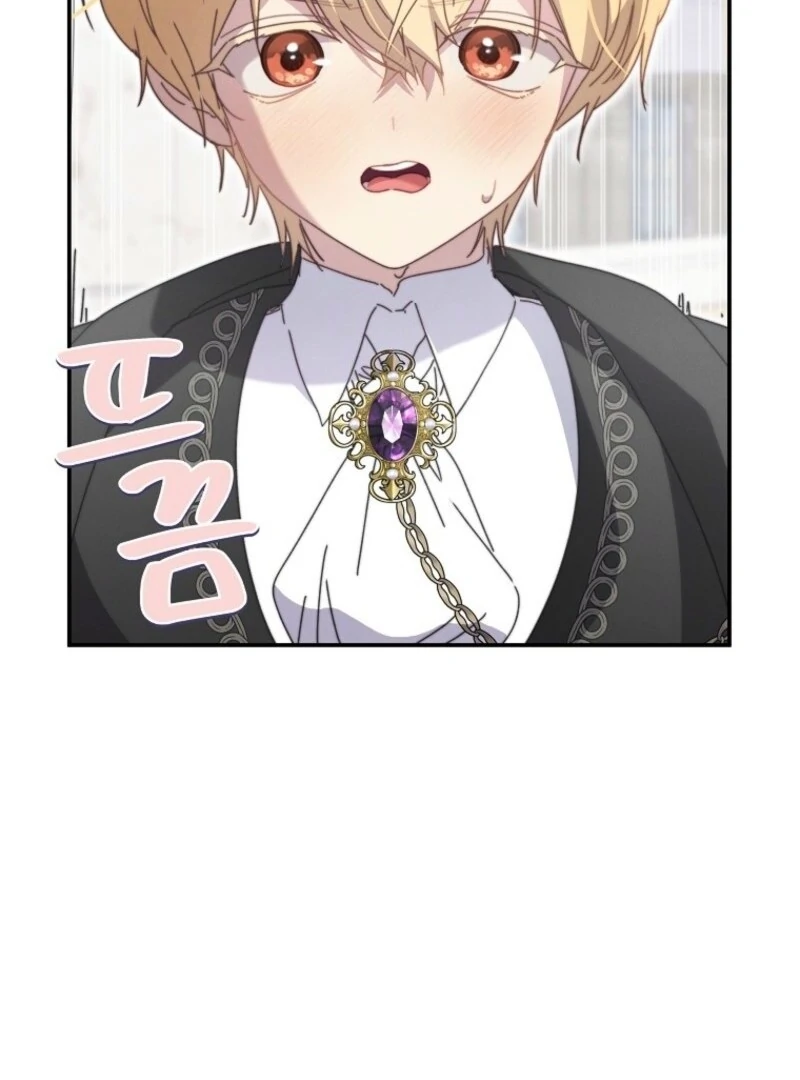 The Princess Reincarnation Chapter 42 455 043