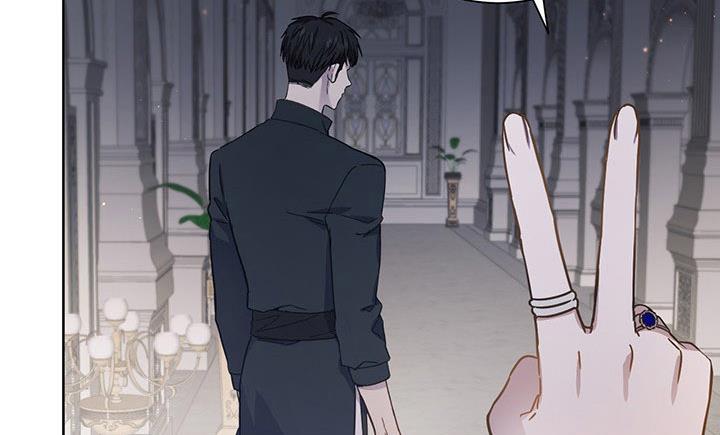 The Princess’s Double Life Chapter 11 817 165