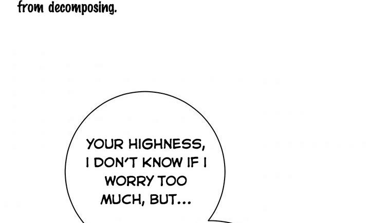 The Princess’s Double Life Chapter 11 850 198