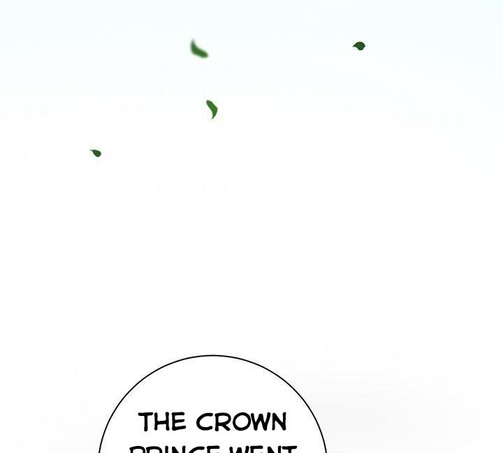 The Princess’s Double Life Chapter 12 491 010