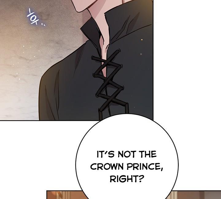 The Princess’s Double Life Chapter 12 538 057