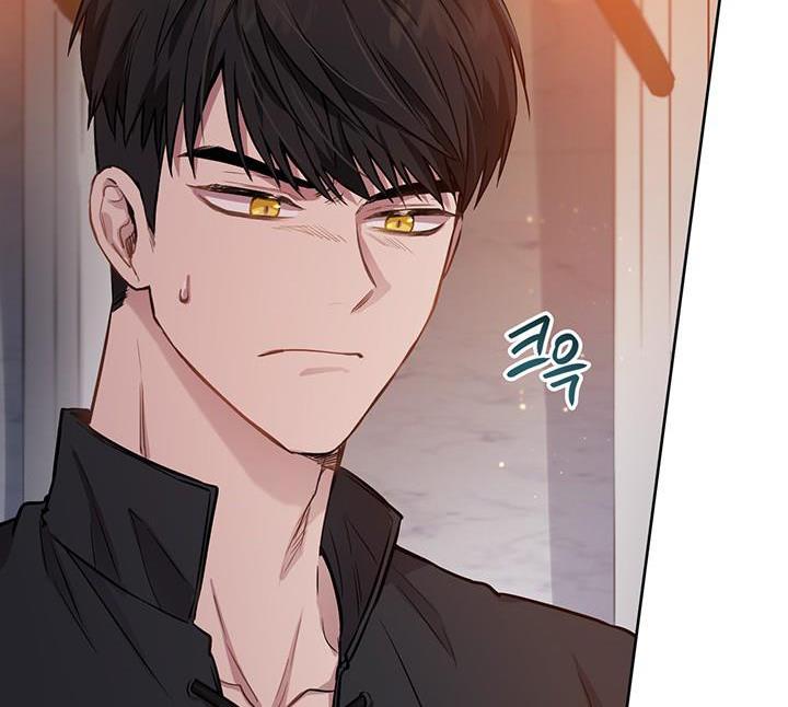 The Princess’s Double Life Chapter 12 587 106