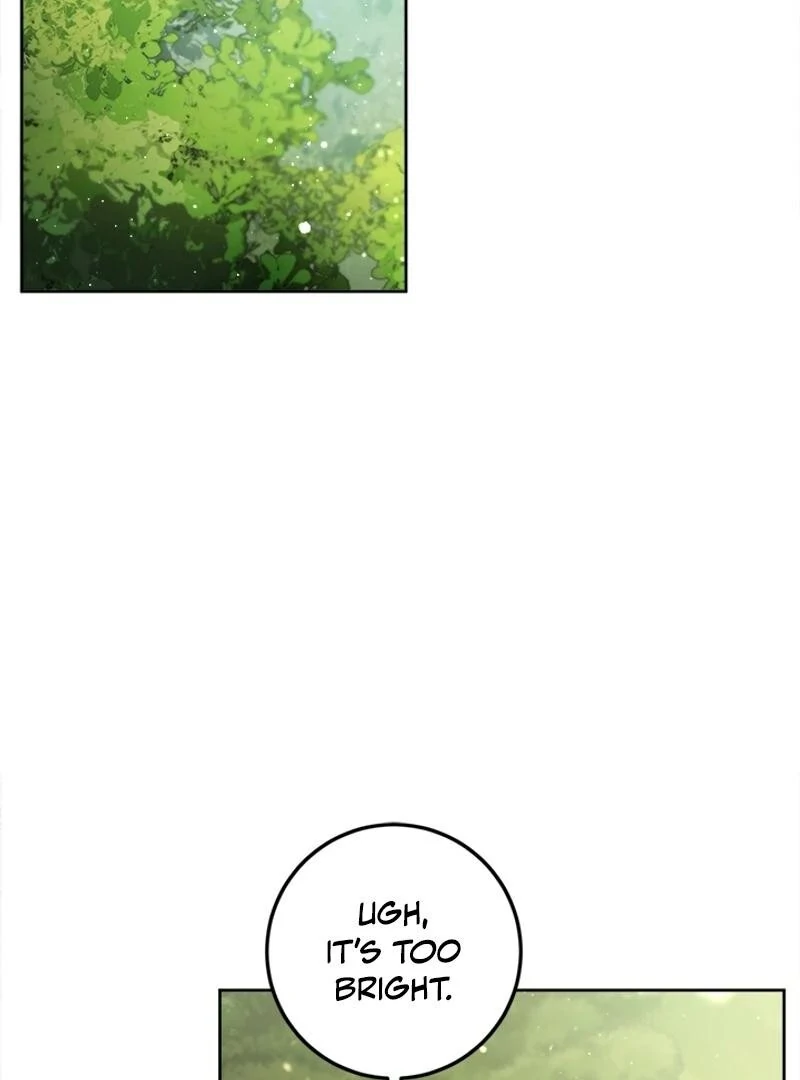 The Princess’s Double Life Chapter 122 481 ch 122 33