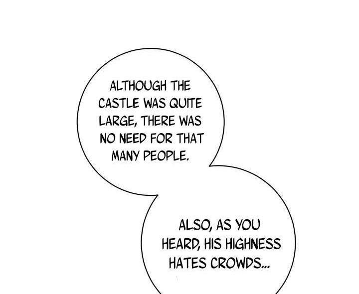 The Princess’s Double Life Chapter 14 533 022