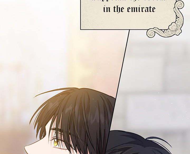 The Princess’s Double Life Chapter 14 622 111