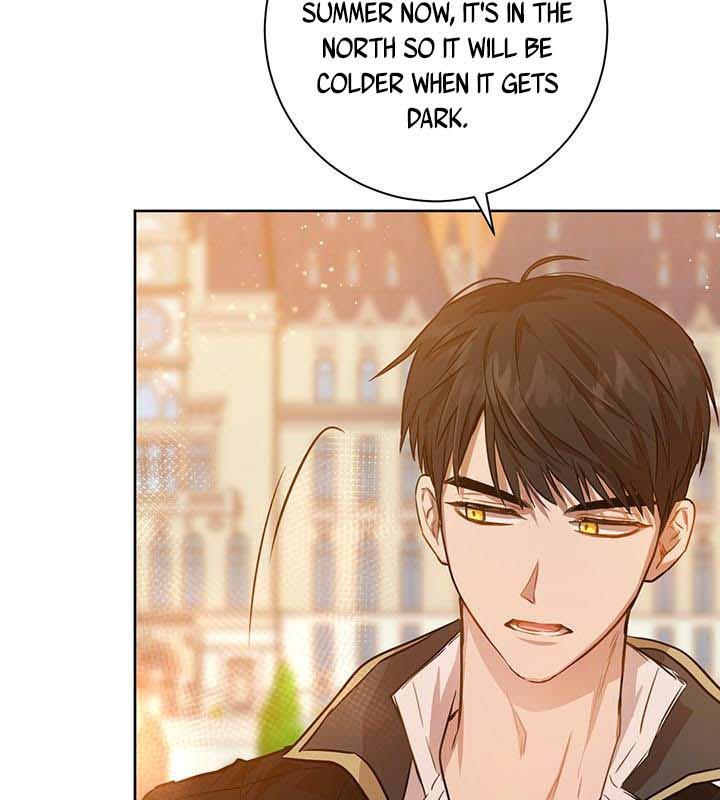 The Princess’s Double Life Chapter 16 427 012