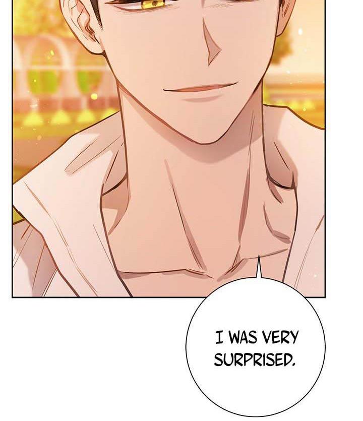 The Princess’s Double Life Chapter 16 498 083