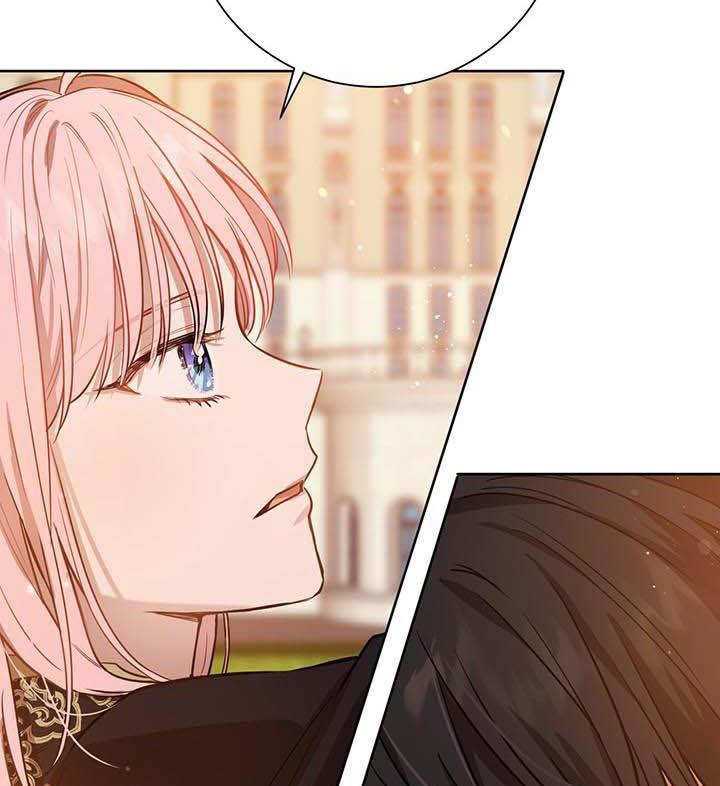 The Princess’s Double Life Chapter 16 527 112