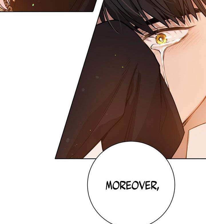 The Princess’s Double Life Chapter 16 528 113