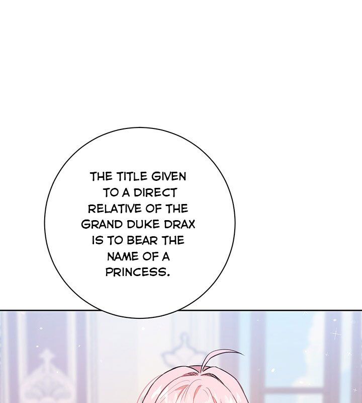 The Princess’s Double Life Chapter 17 355 003