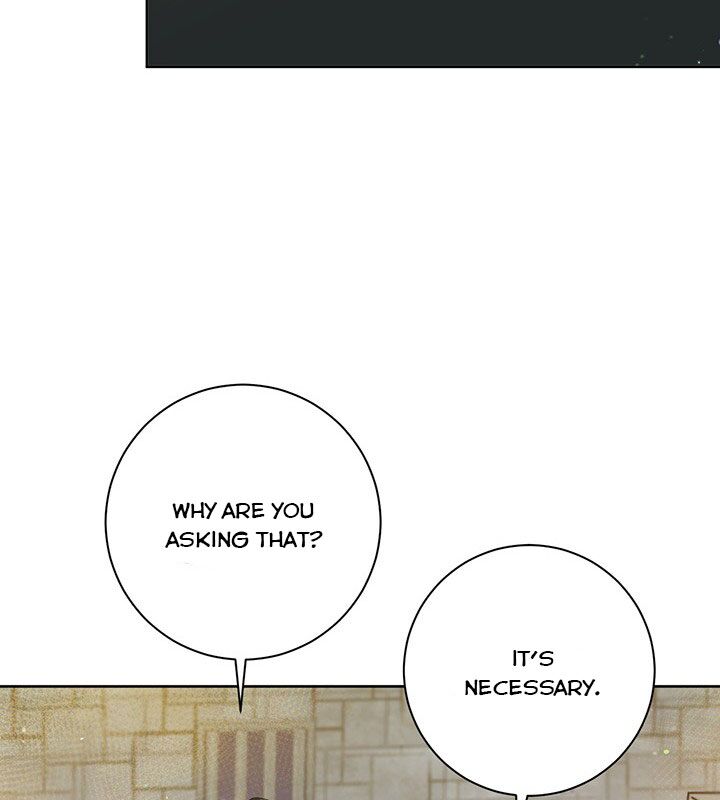 The Princess’s Double Life Chapter 17 417 065